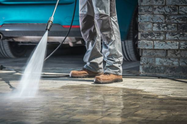 Best Roof Washing  in Decatur, AR